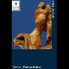 30 b.jpg